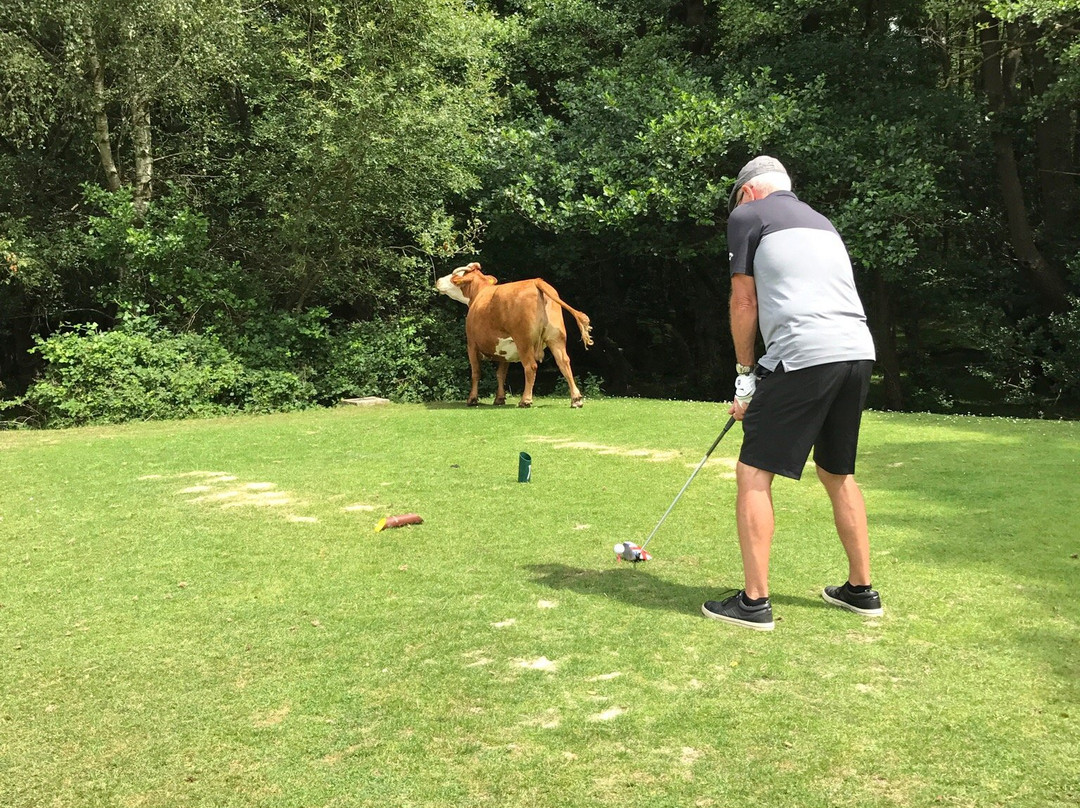 New Forest Golf Club景点图片