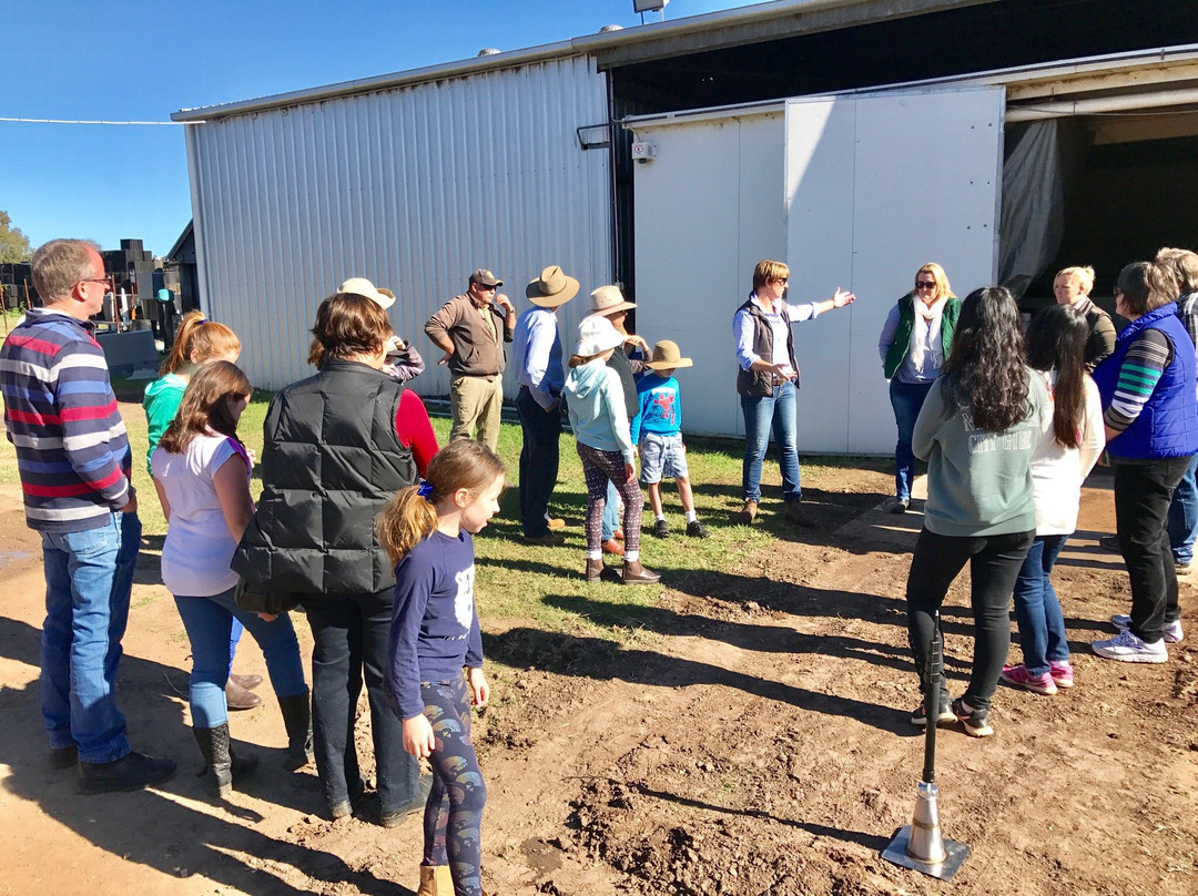 9Dorf Farms-Lilydale必去景点