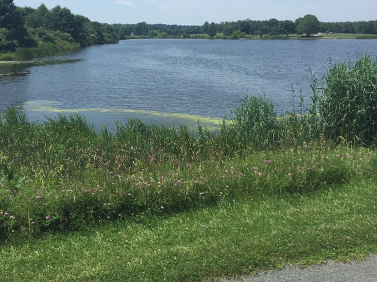 Lawrence Hopewell Trail-Hopewell必去景点