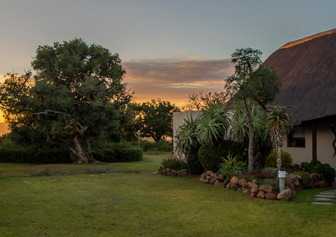 Tootabi Hunting Safaris-Paterson必去景点