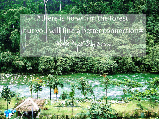 Sumatra Trips-棉兰必去景点