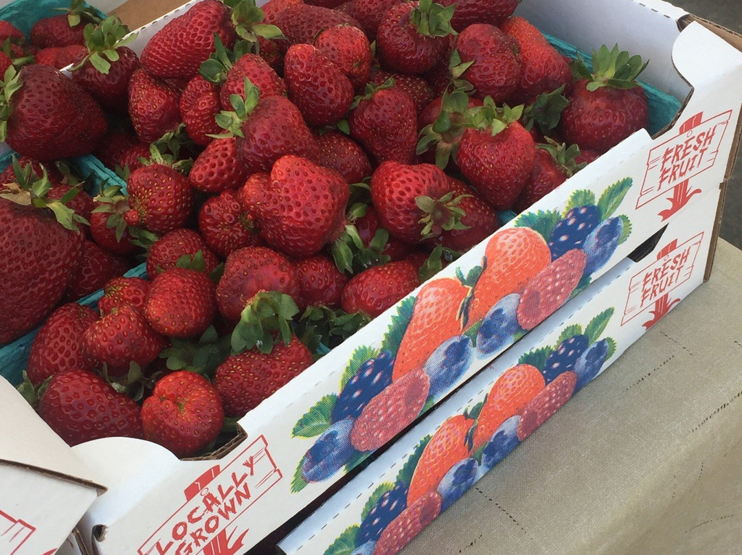 Moscow Farmers Market-莫斯科必去景点