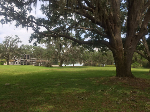 Golden Spirit Alpaca Ranch-Odessa必去景点