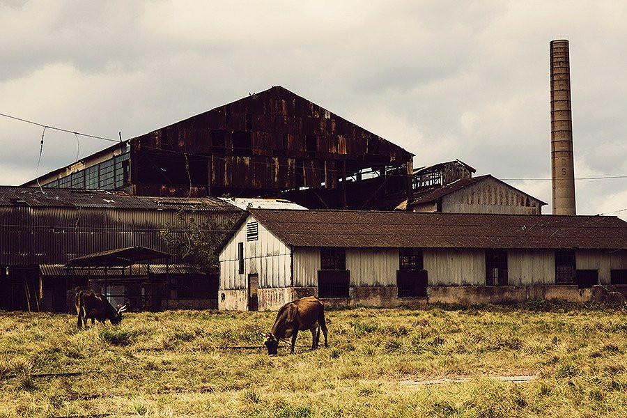 Hershey Train-哈瓦那必去景点