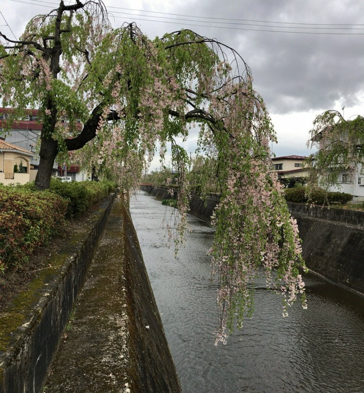 Kuratsu River景点图片