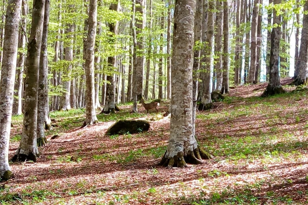 Indiana Park Amiata-Castel Del Piano必去景点