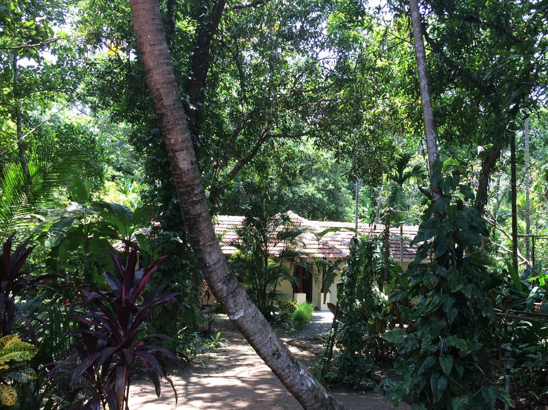 La Arcadia Iyengar Yoga Center景点图片