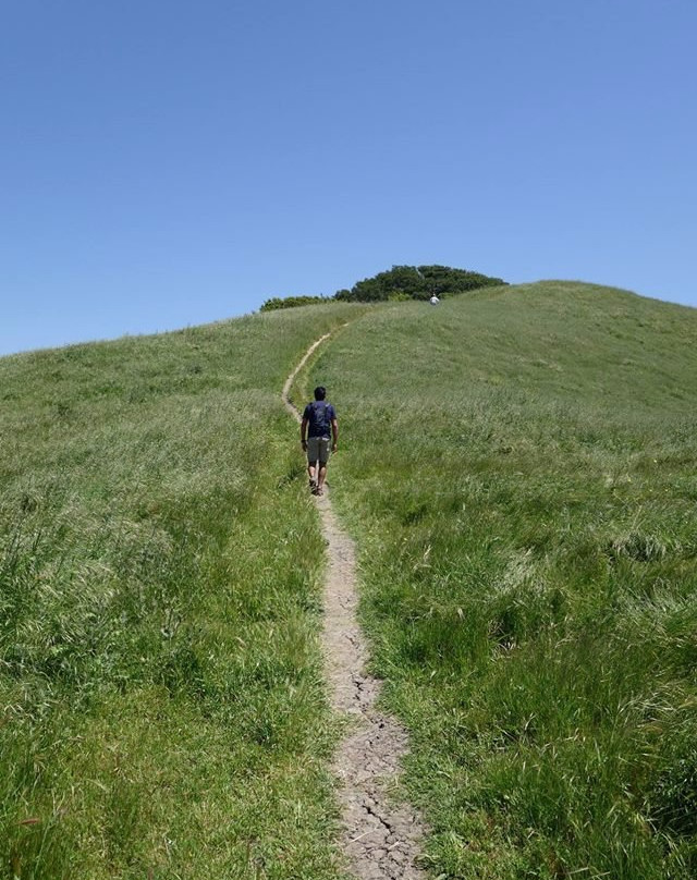 Wildcat Canyon Regional Park-列治文必去景点