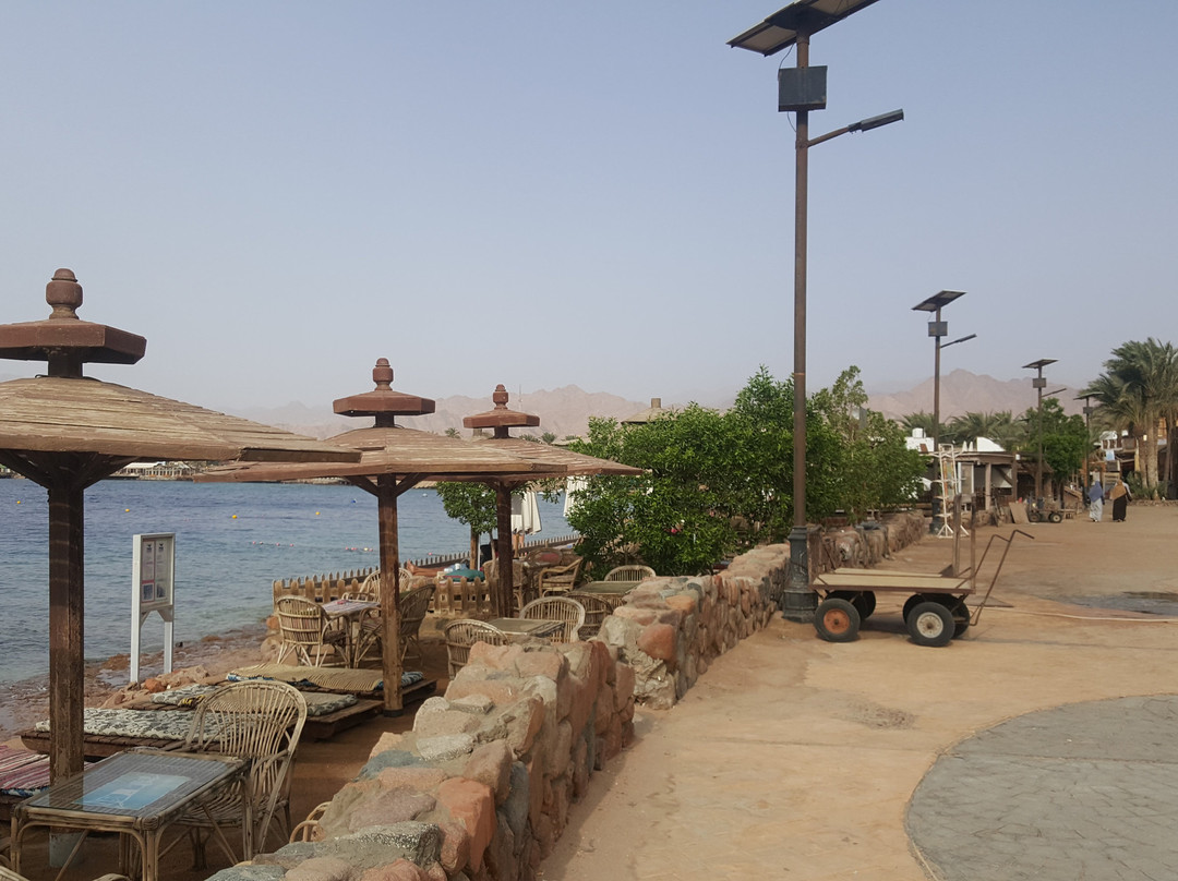 Pharaoh Dive Club Dahab-达哈卜必去景点