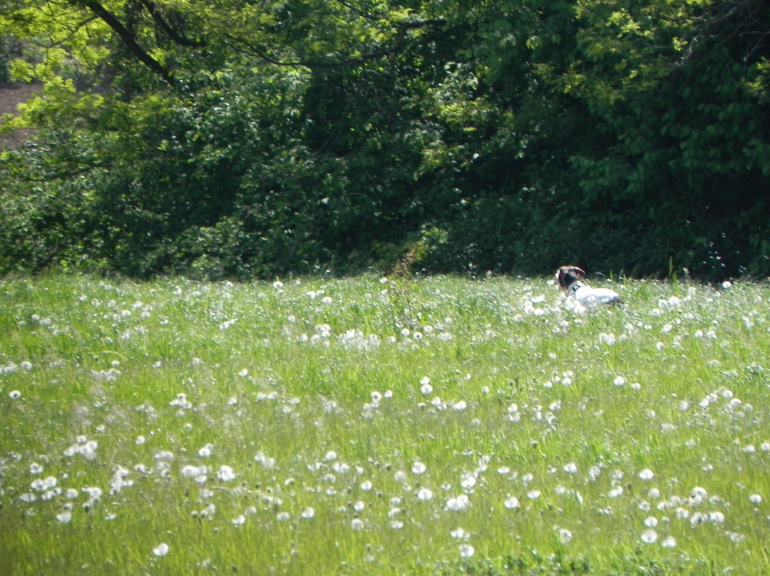 Binago旅游攻略图片