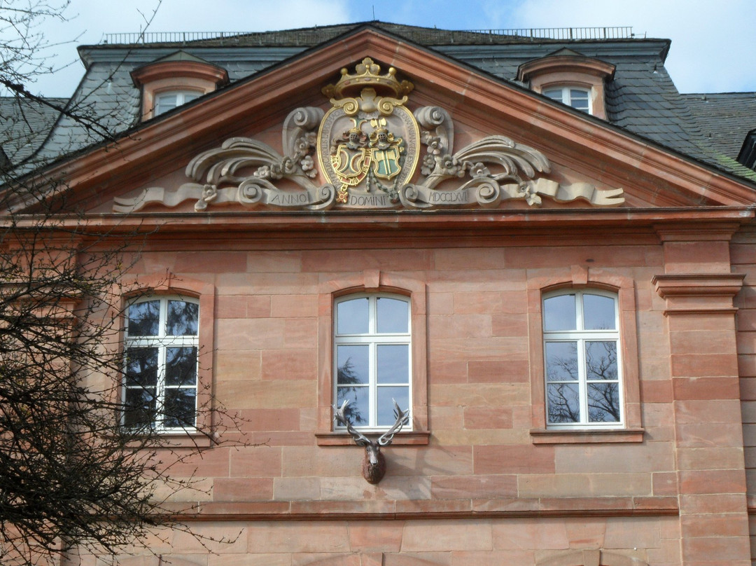 Barockschloss Trippstadt景点图片