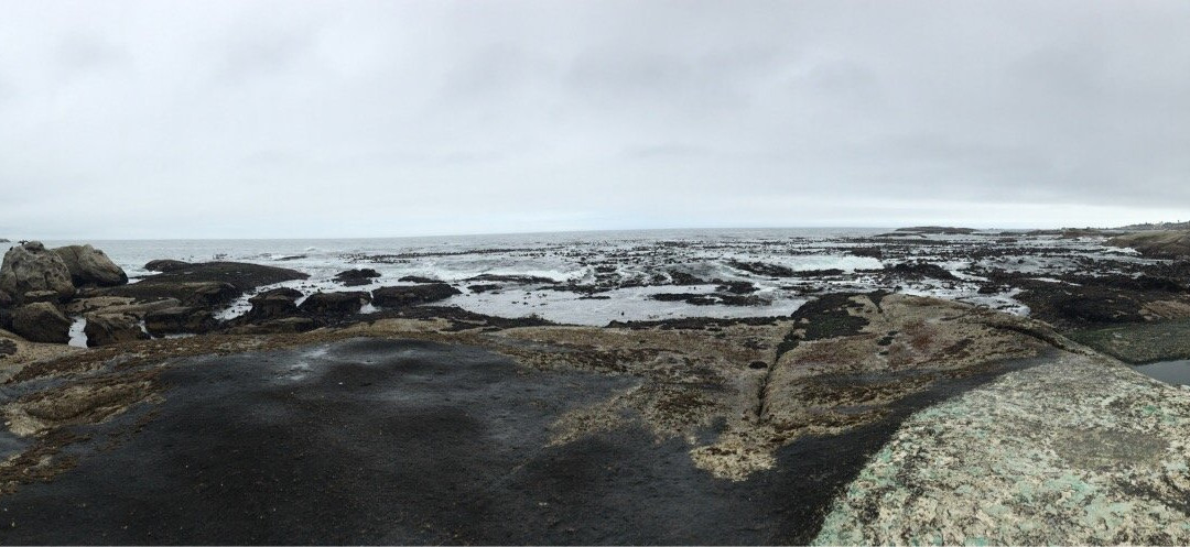 Cosy Bay Beach-Oudekraal必去景点