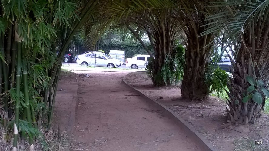 Praça André Forster-阿雷格里港必去景点