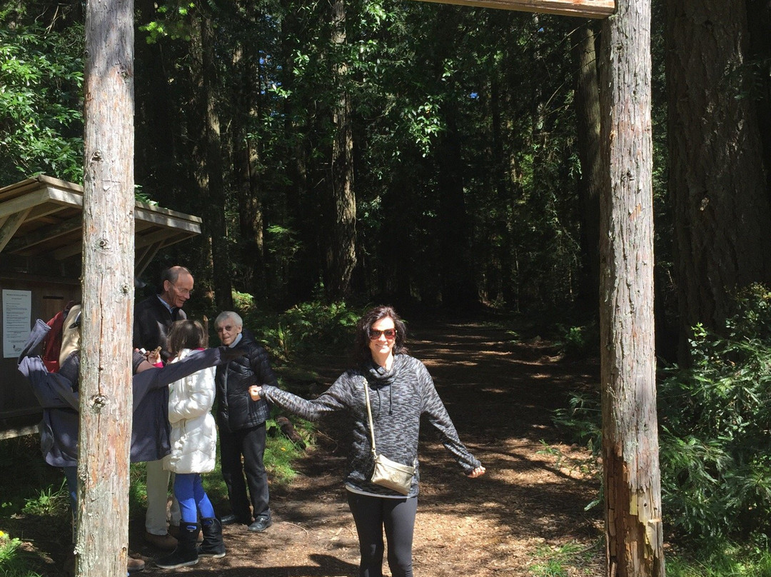 Grove of Old Trees景点图片