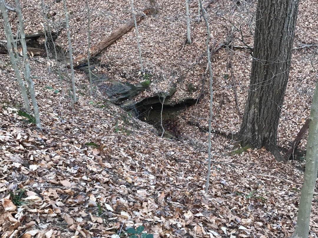 Wallace Hartman Nature Preserve-查尔斯顿必去景点