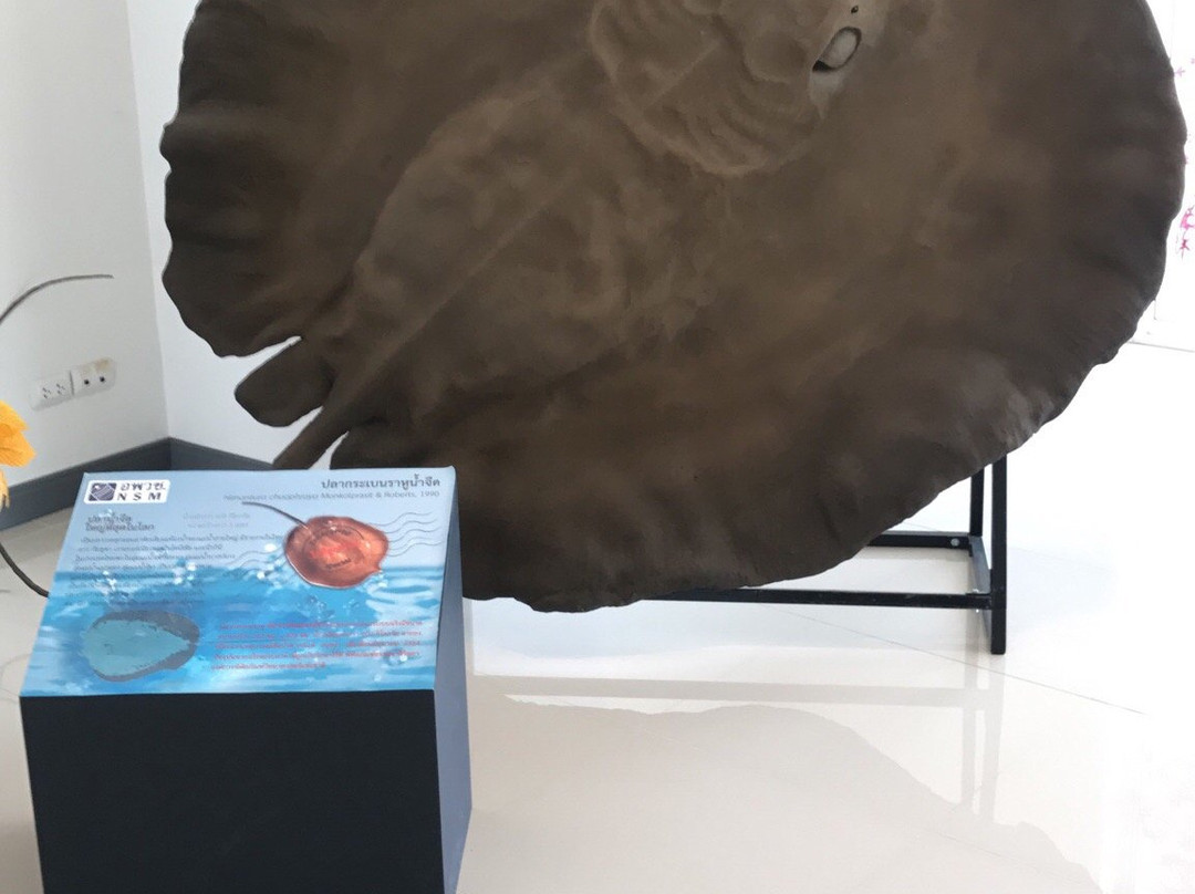Natural History Museum景点图片