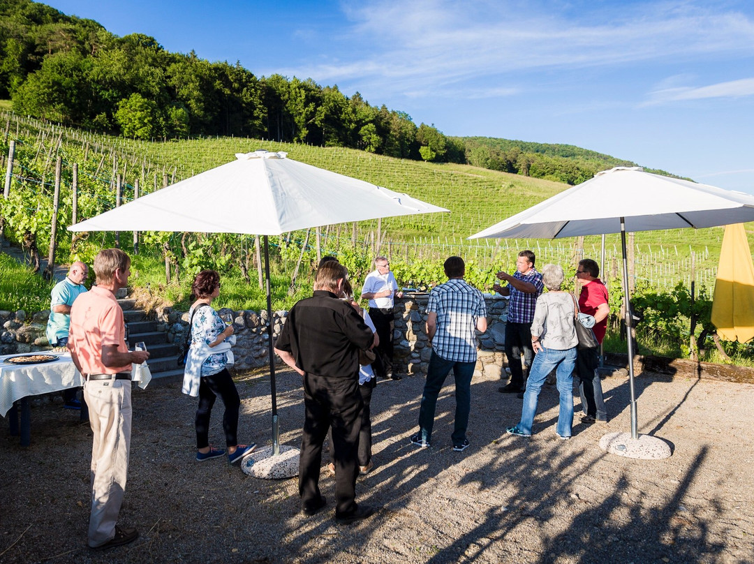 Winery Schwarz-Freienstein-Teufen必去景点