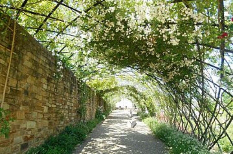 Parc Théodore Monod景点图片