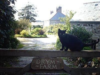 Drym Farm-浴室