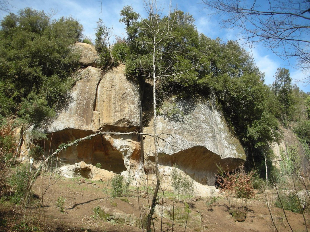 Cella di Santa Rosa景点图片