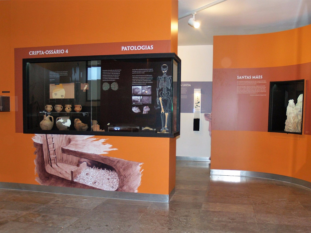 Museu Municipal de Coruche景点图片