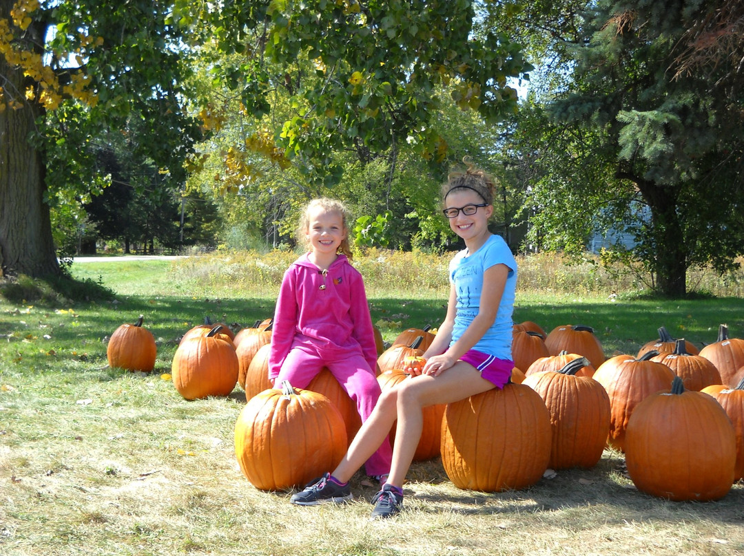 Matt's Produce-拉辛必去景点