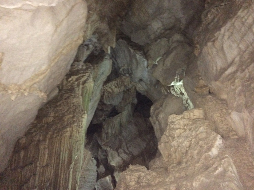 Cueva del Palmarito景点图片