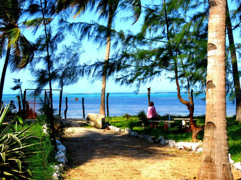 Savannah Cottages主图