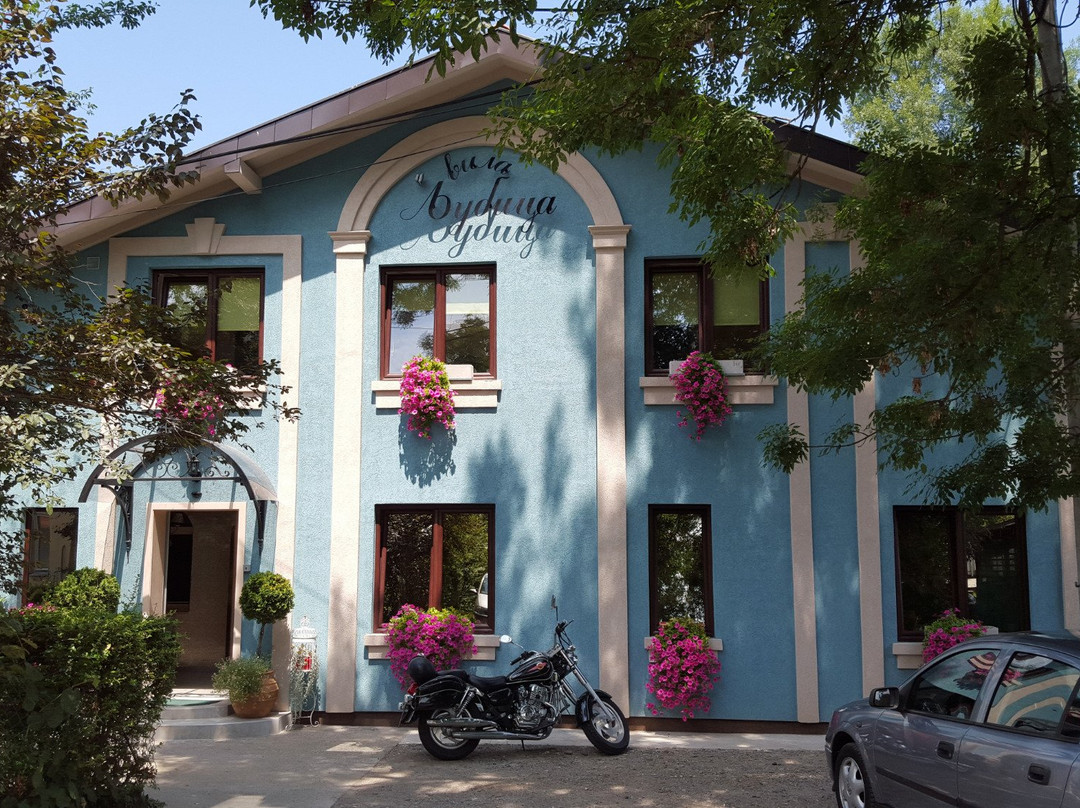 Aleksandrovac酒店住宿-Villa Ljubica