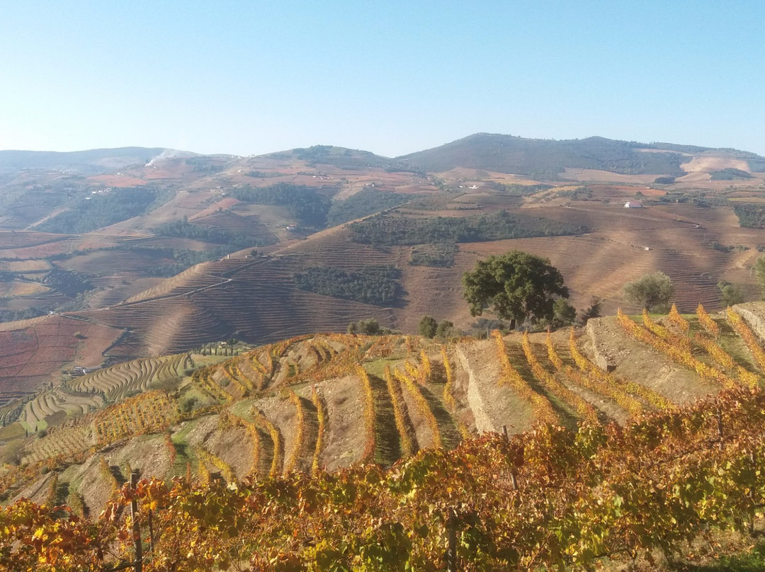 Covas do Douro旅游攻略图片