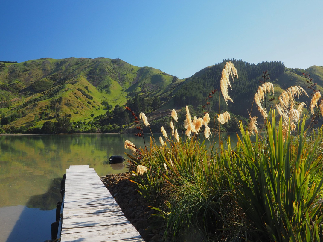 Pelorus Bridge酒店住宿-Cable Bay Lodge-Treehouse Waterfront Hideaway