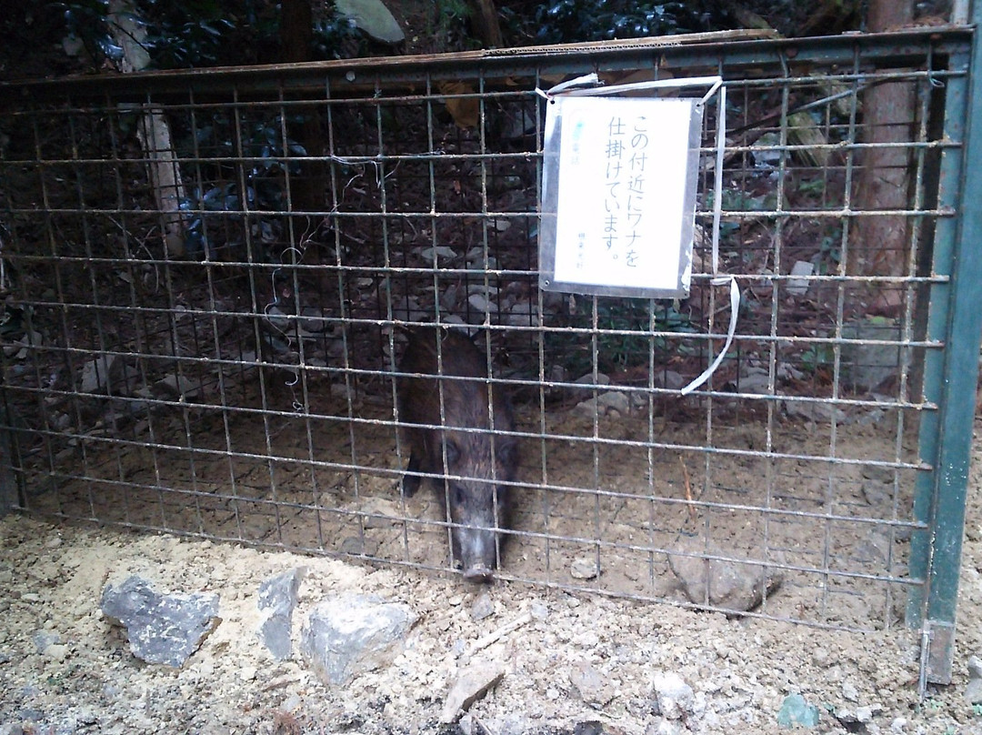 Inunakisan Izumikatsuragi Mountain Hiking Course-泉佐野市必去景点