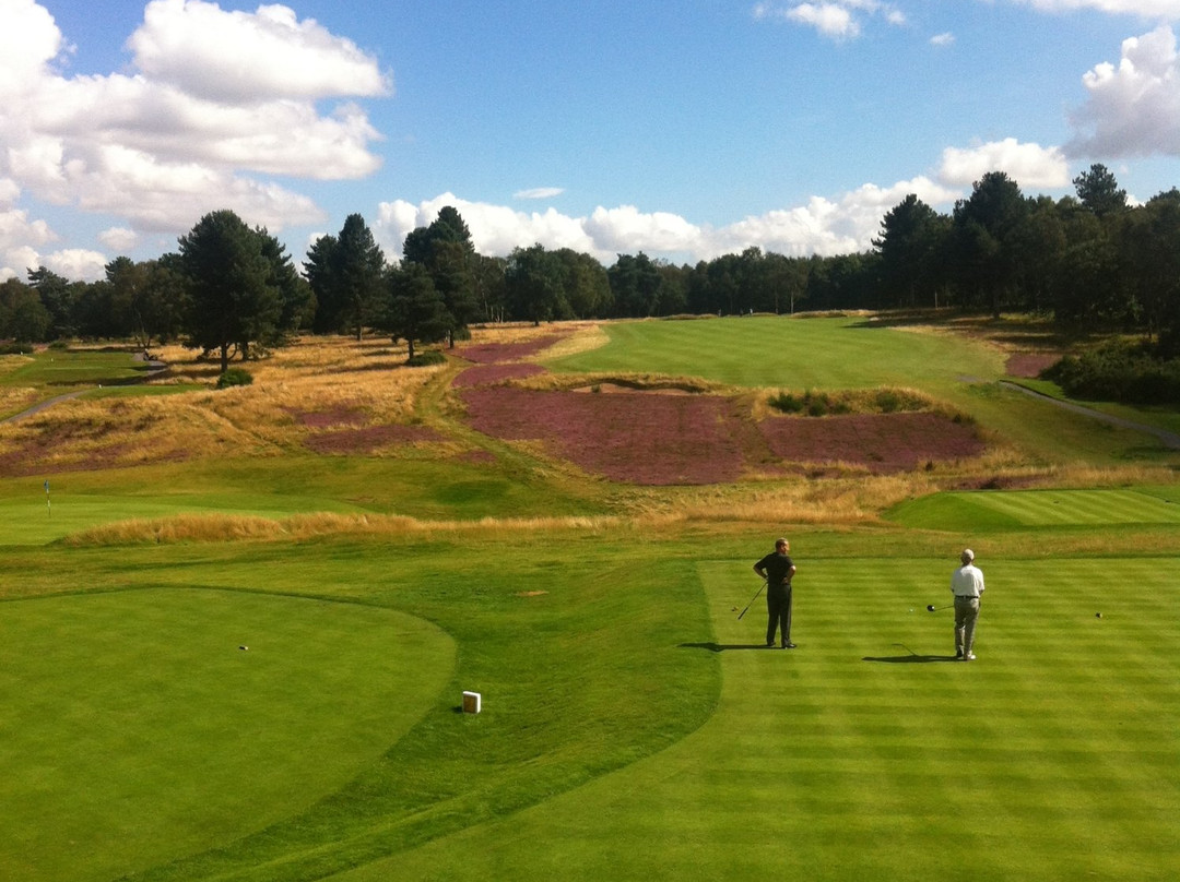 Sherwood Forest Golf Club景点图片