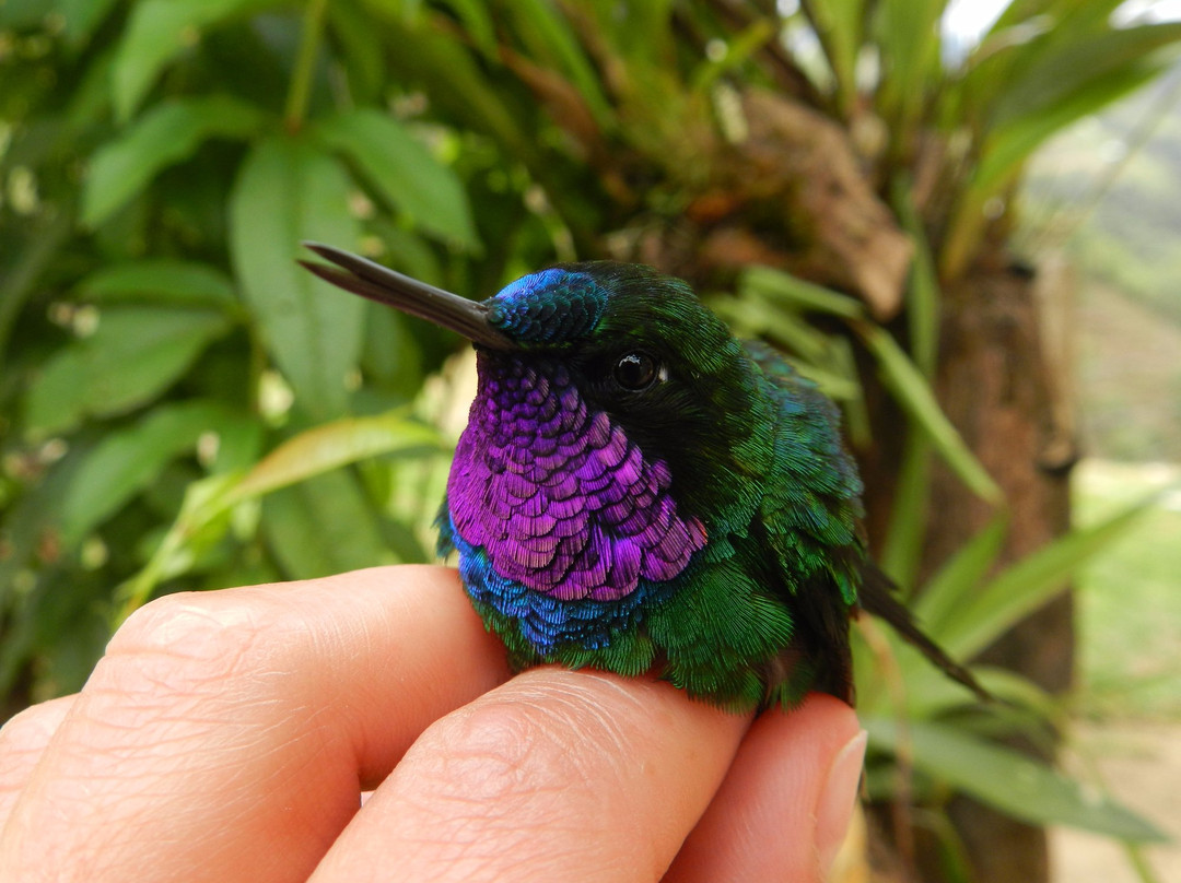 Inspiracion Viajes-昆卡必去景点