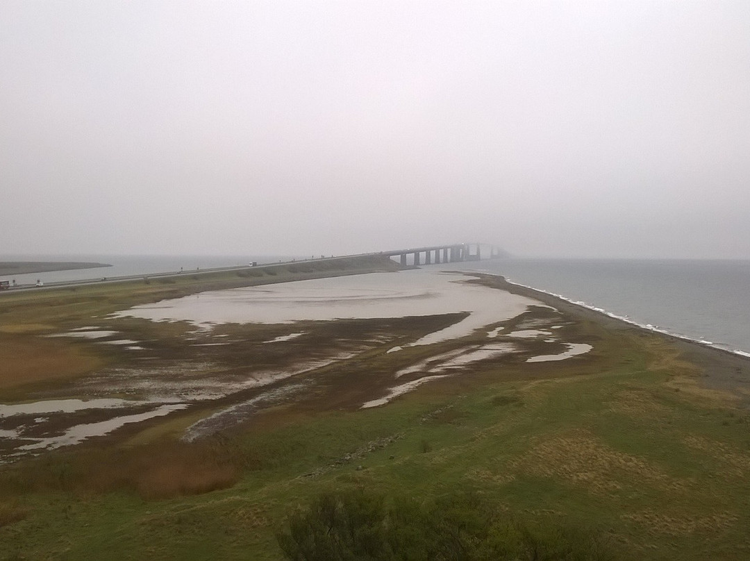 West Zealand旅游攻略图片