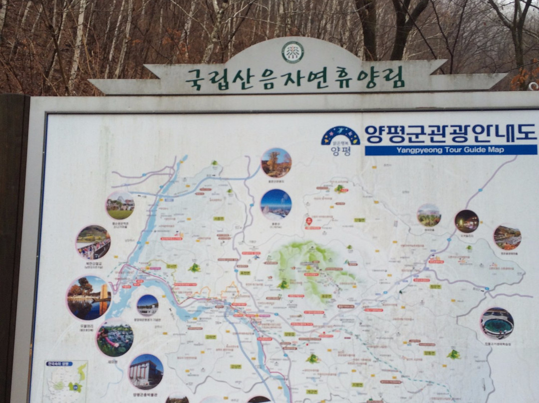 Saneum Natural Recreation Forest-杨平郡必去景点