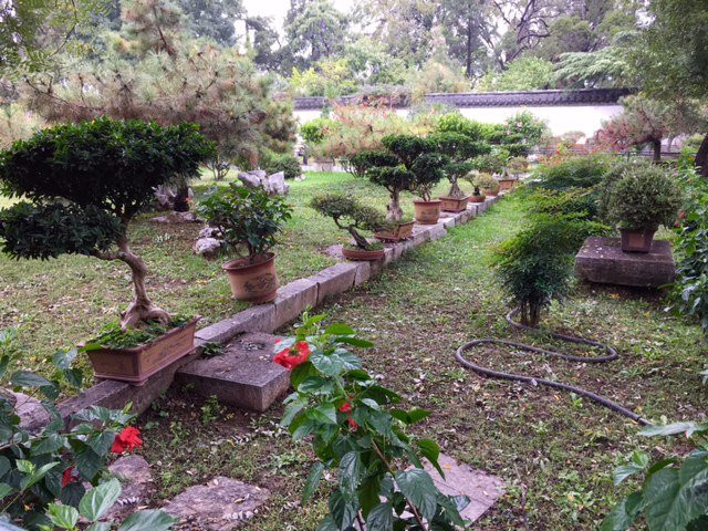 孔府铁山园-曲阜市必去景点