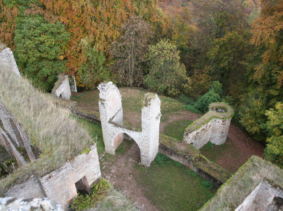 Hinterweidenthal旅游景点-Gräfenstein Castle