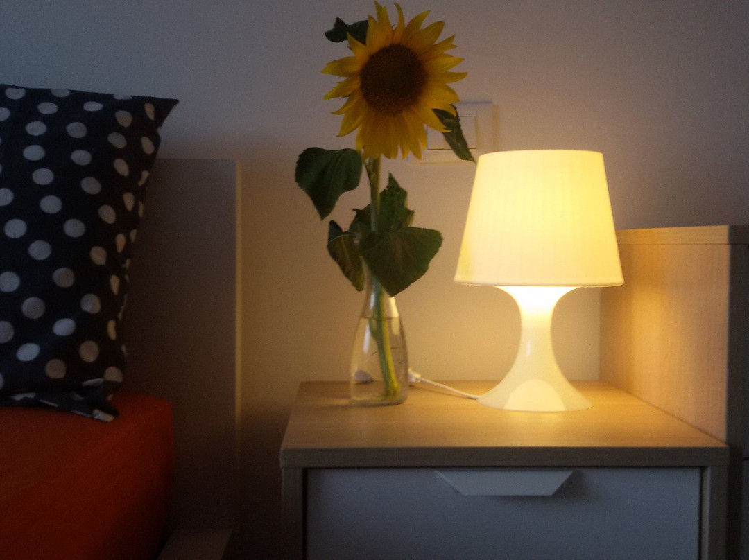 B&B Verde Vivo主图