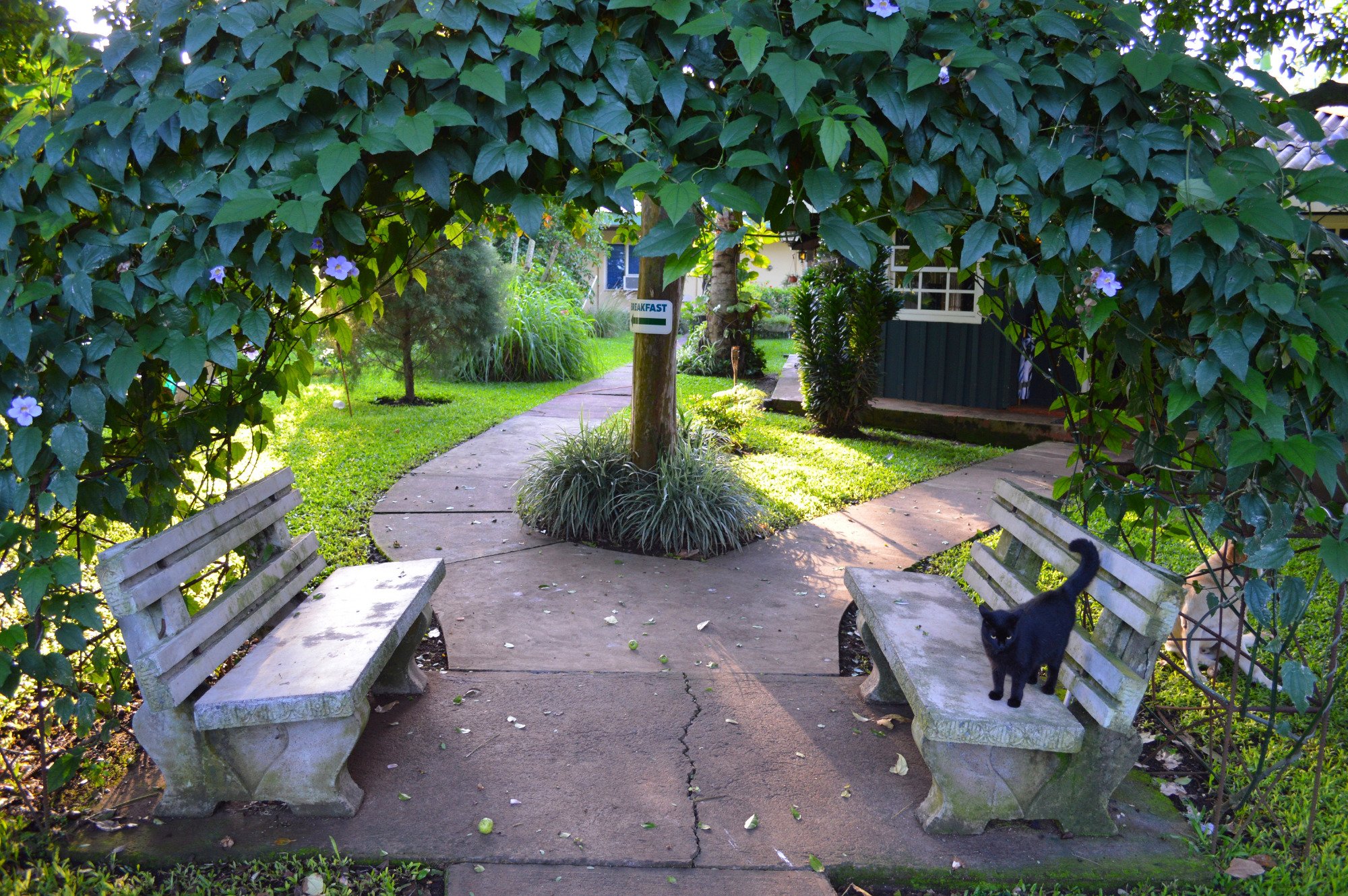 Airport Costa Rica B&B-浴室