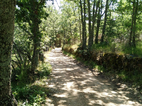 Navacepedilla de Corneja旅游攻略图片