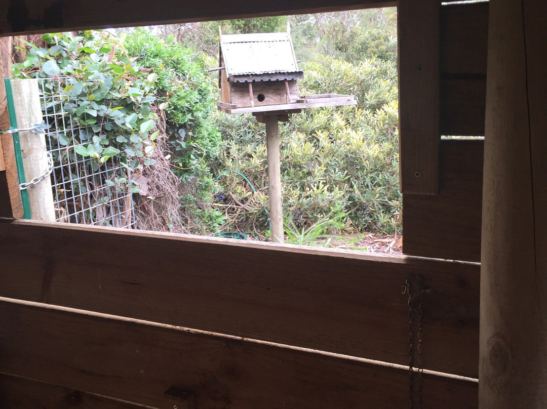 Nangawooka Flora Reserve-维克多港必去景点
