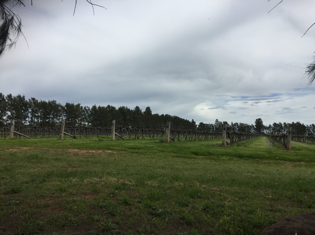 Robert Oatley Vineyards-马奇必去景点