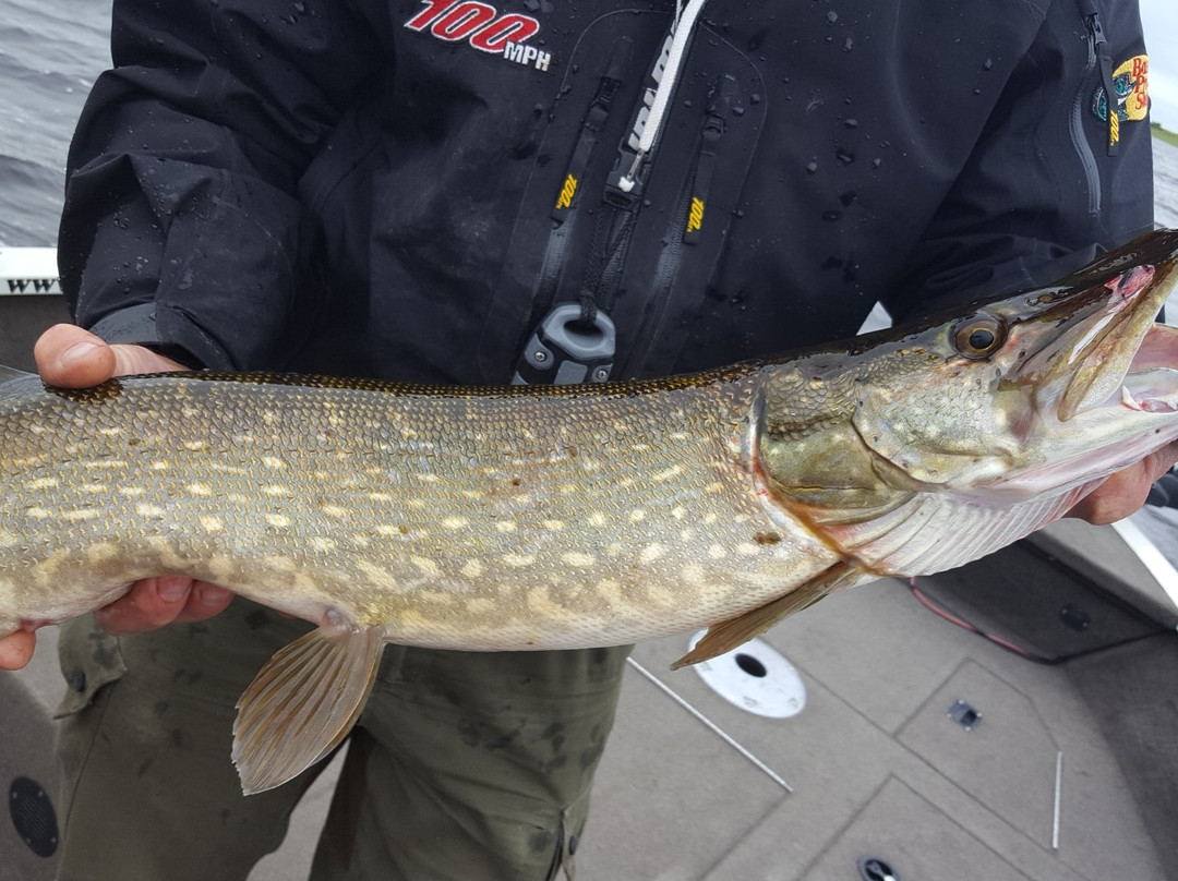 Angling Services Ireland-Boyle必去景点