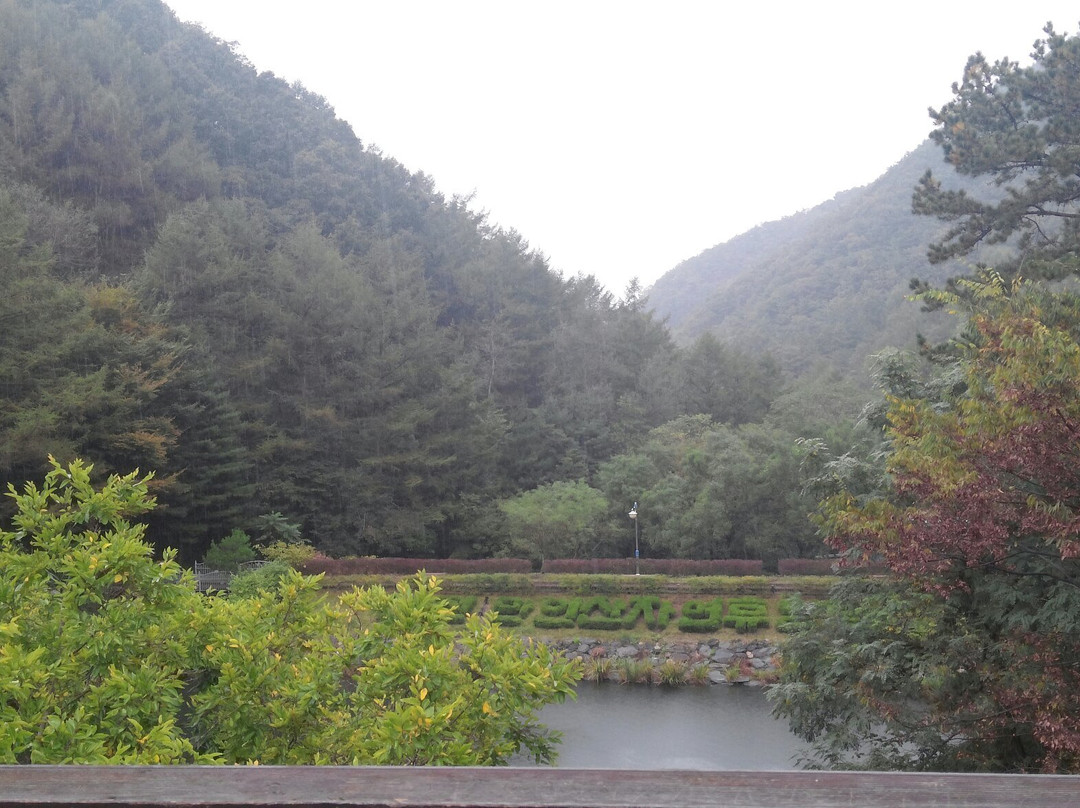 Maninsan Mountain-大田必去景点