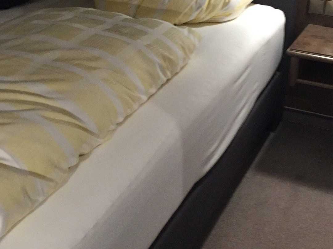 卡拉斯基酒店主图