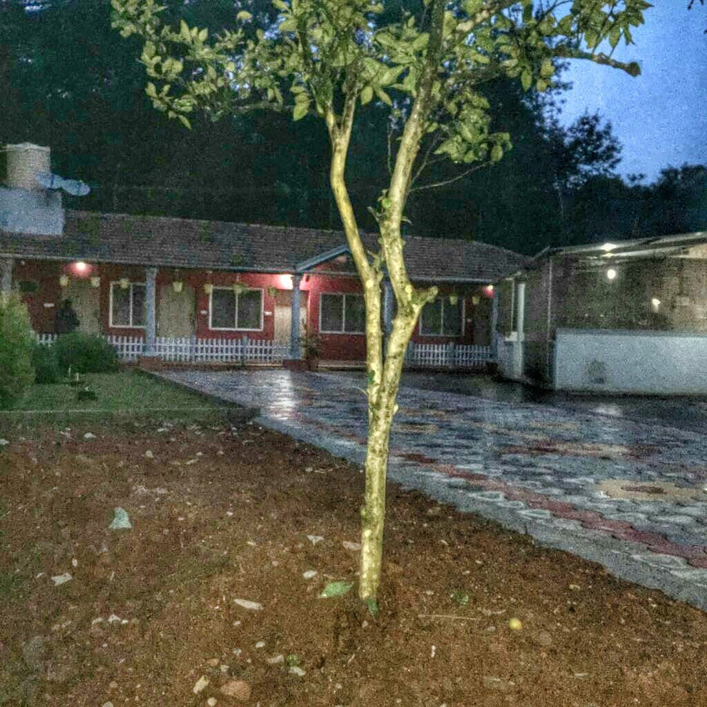 SilverCloud Homestay-官方