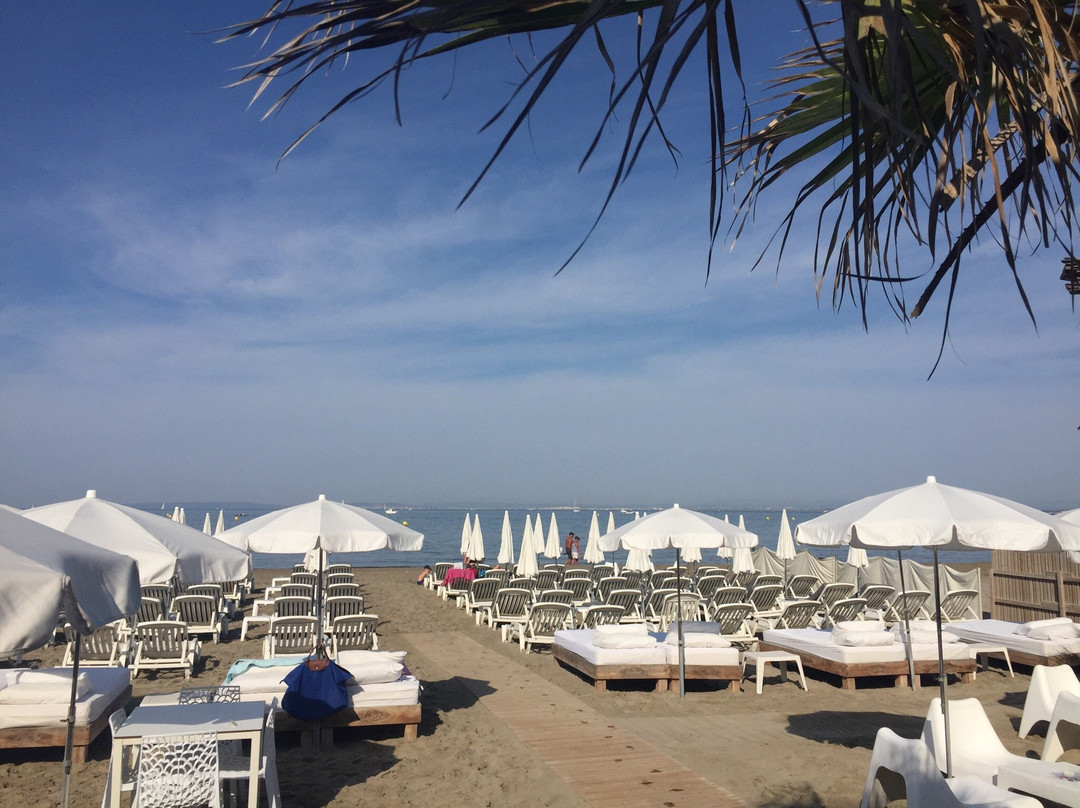 Marina Beach