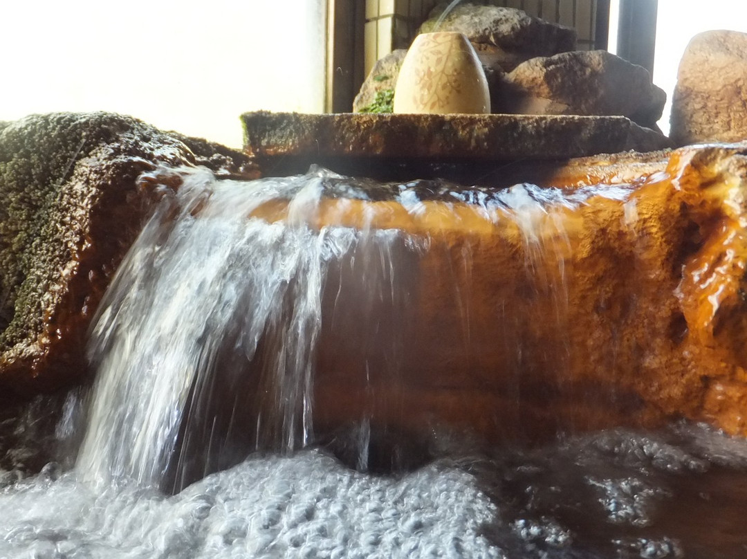 Hinode Onsen Kinokono Sato-雾岛市必去景点