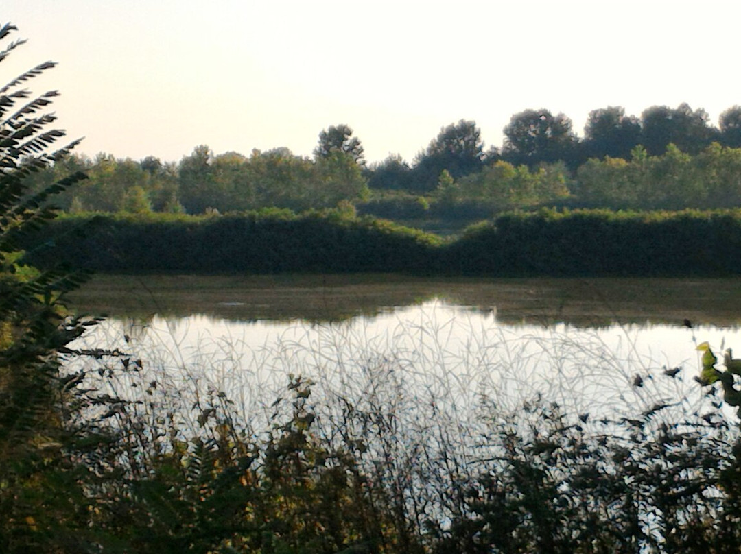 Riserva naturale orientata Parma Morta-Mezzani必去景点
